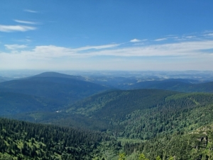 Školní výlet 6.A (26. 6. 2022)
