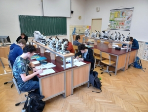 Matematická olympiáda školní