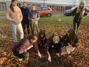 Projekt Krokus