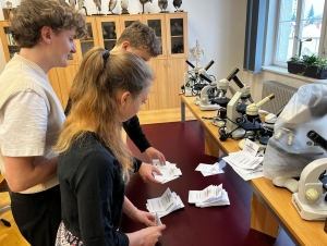 Studentské prezidentské volby 2