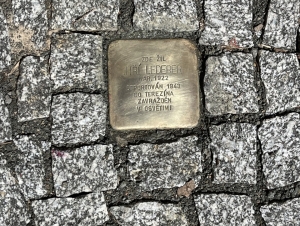 Kameny zmizelých