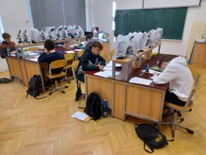 Školní kolo matematické olympiády B, C