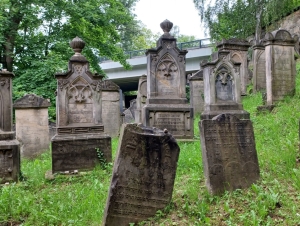 DS na židovském hřbitově