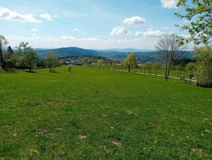 Paseky 6.A