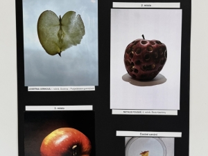 Fotosoutěž