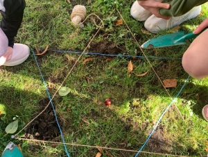 Projekt Krokus
