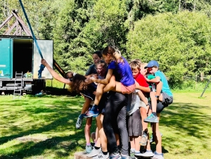 Harmonizace