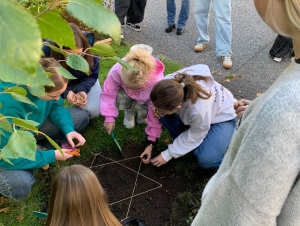 Projekt Krokus